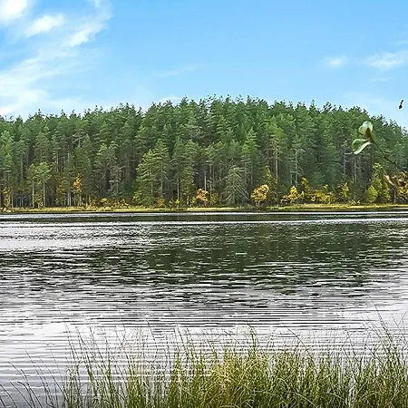 Kanerva By Interhome * Herttua